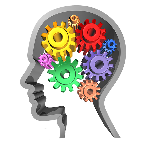 Can I Will I Do I Want To